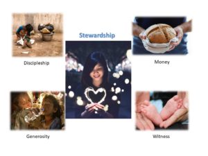 Stewardship in Living Context 2018 ESC