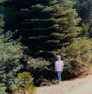 Betsy at Blodgett, a research forest above Georgetown in the Sierra foothills.